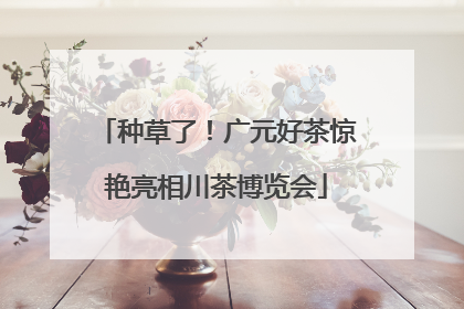 种草了！广元好茶惊艳亮相川茶博览会
