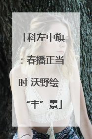 科左中旗：春播正当时 沃野绘“丰”景