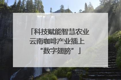 科技赋能智慧农业 云南咖啡产业插上“数字翅膀”