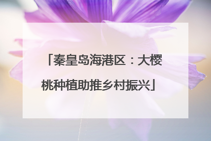 秦皇岛海港区：大樱桃种植助推乡村振兴