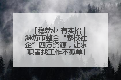 稳就业 有实招丨潍坊市整合“家校社企”四方资源，让求职者找工作不孤单