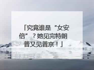 究竟谁是“女安倍”？她见完特朗普又见普京！