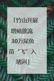 竹山开展增殖放流 30万尾鱼苗“飞”入堵河