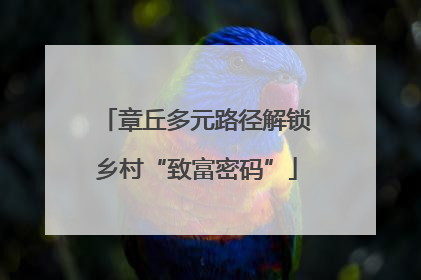章丘多元路径解锁乡村“致富密码”