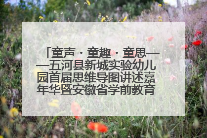 童声・童趣・童思——五河县新城实验幼儿园首届思维导图讲述嘉年华暨安徽省学前教育教研基地园项目阶段性成果展示活动
