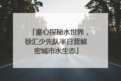 童心探秘水世界，徐汇少先队半日营解密城市水生态