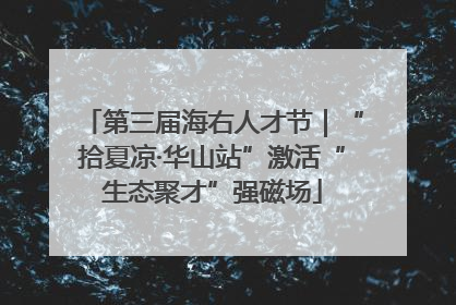 第三届海右人才节｜“拾夏凉·华山站”激活“生态聚才”强磁场