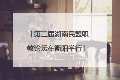 第三届湖南民盟职教论坛在衡阳举行