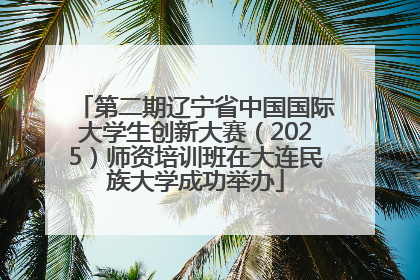 第二期辽宁省中国国际大学生创新大赛（2025）师资培训班在大连民族大学成功举办