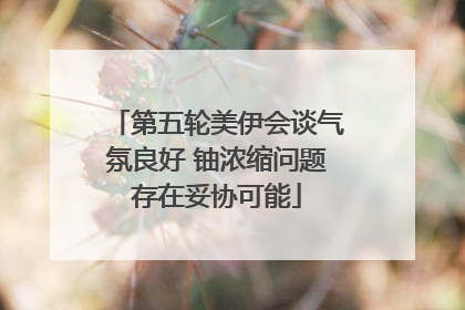 第五轮美伊会谈气氛良好 铀浓缩问题存在妥协可能
