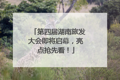 第四届湖南旅发大会即将启幕，亮点抢先看！