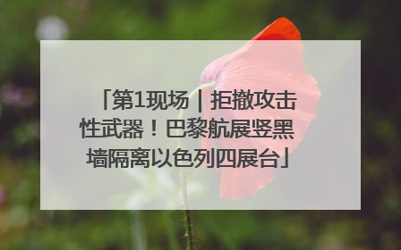 第1现场｜拒撤攻击性武器！巴黎航展竖黑墙隔离以色列四展台