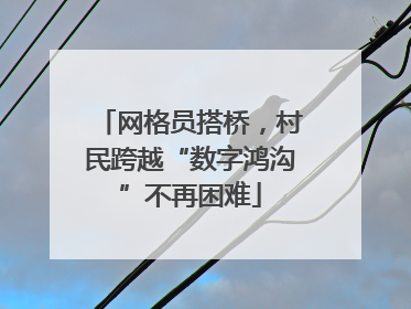 网格员搭桥，村民跨越“数字鸿沟”不再困难