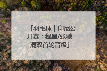 羽毛球｜印尼公开赛：程星/张驰混双首轮晋级