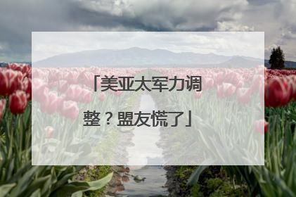 美亚太军力调整？盟友慌了