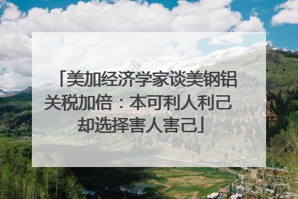 美加经济学家谈美钢铝关税加倍：本可利人利己 却选择害人害己