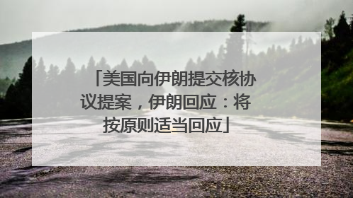 美国向伊朗提交核协议提案，伊朗回应：将按原则适当回应