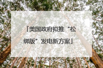 美国政府拟推“松绑版”发电新方案