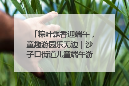 粽叶飘香迎端午，童趣游园乐无边｜沙子口街道儿童端午游园活动圆满落幕