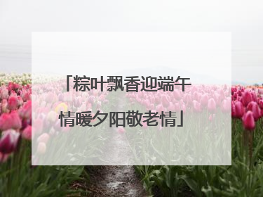 粽叶飘香迎端午 情暖夕阳敬老情