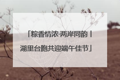 粽香情浓·两岸同韵丨湖里台胞共迎端午佳节