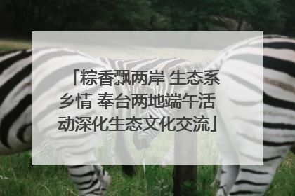 粽香飘两岸 生态系乡情 奉台两地端午活动深化生态文化交流