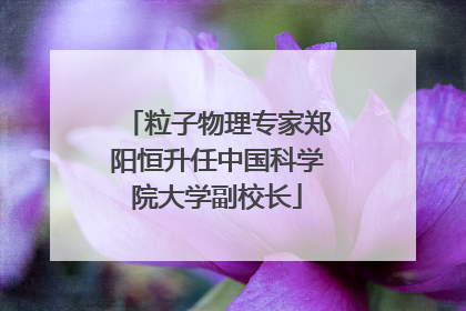 粒子物理专家郑阳恒升任中国科学院大学副校长
