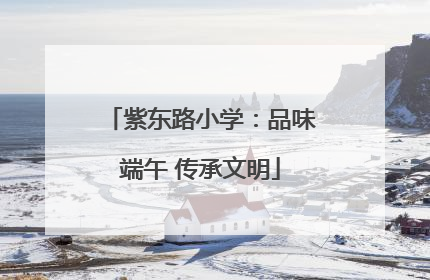 紫东路小学：品味端午 传承文明
