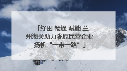 纾困 畅通 赋能 兰州海关助力陇原民营企业扬帆“一带一路”