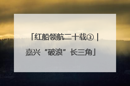 红船领航二十载③｜嘉兴“破浪”长三角