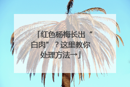 红色杨梅长出“白肉”？这里教你处理方法→