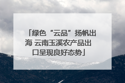 绿色“云品”扬帆出海 云南玉溪农产品出口呈现良好态势