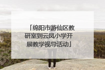 绵阳市游仙区教研室到云凤小学开展教学视导活动