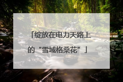 绽放在电力天路上的“雪域格桑花”
