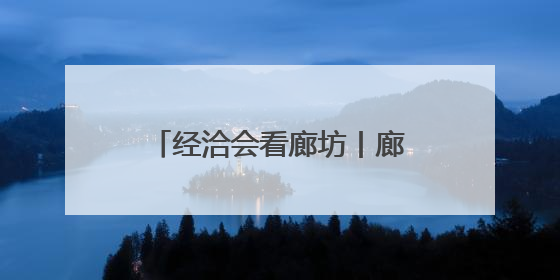 经洽会看廊坊丨廊坊现代商贸物流产业更加“筋强骨壮”