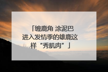 缠鹿角 涂泥巴 进入发情季的雄鹿这样“秀肌肉”