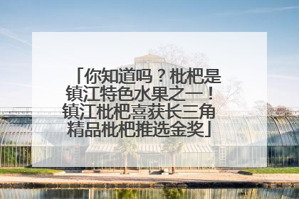 你知道吗？枇杷是镇江特色水果之一！镇江枇杷喜获长三角精品枇杷推选金奖
