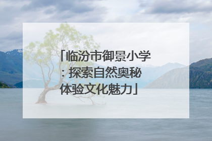 临汾市御景小学：探索自然奥秘 体验文化魅力