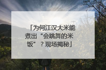 为何江汉大米能煮出“会跳舞的米饭”？现场揭秘