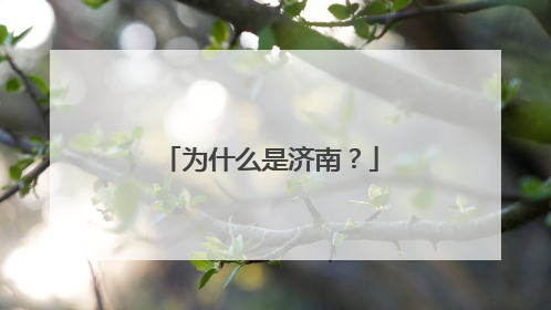 为什么是济南？