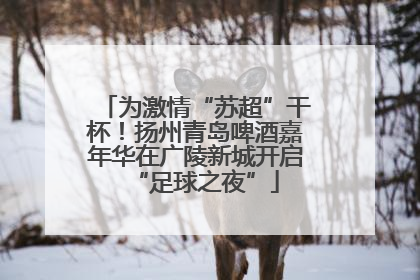 为激情“苏超”干杯！扬州青岛啤酒嘉年华在广陵新城开启“足球之夜”