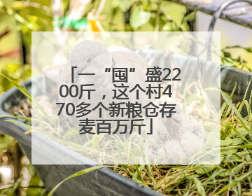 一“囤”盛2200斤，这个村470多个新粮仓存麦百万斤