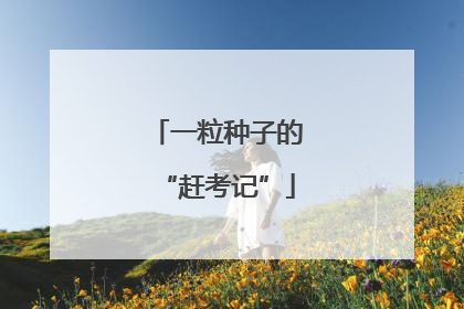 一粒种子的“赶考记”