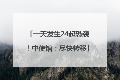 一天发生24起恐袭！中使馆：尽快转移