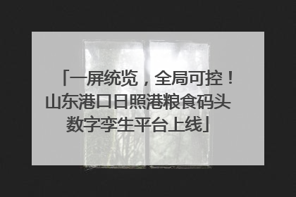 一屏统览，全局可控！山东港口日照港粮食码头数字孪生平台上线