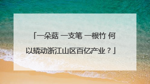 一朵菇 一支笔 一根竹 何以撬动浙江山区百亿产业？