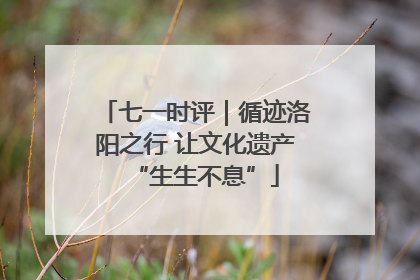 七一时评｜循迹洛阳之行 让文化遗产“生生不息”
