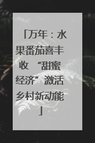 万年：水果番茄喜丰收 “甜蜜经济”激活乡村新动能