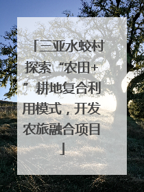 三亚水蛟村探索“农田+”耕地复合利用模式，开发农旅融合项目