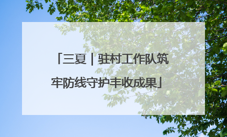 三夏｜驻村工作队筑牢防线守护丰收成果